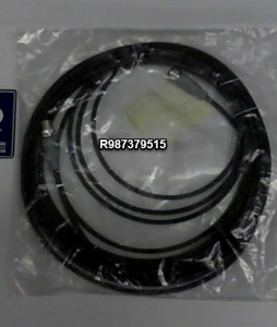 R987379516