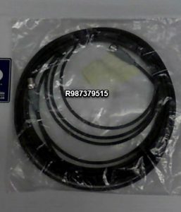 R987379516