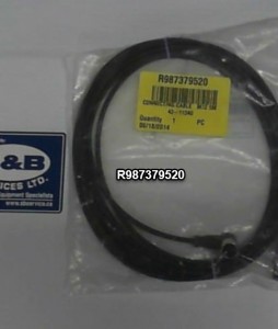 R987379520